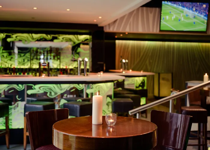 住宿加早餐酒店 希尔格罗夫旅馆 丁格尔